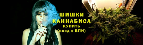 соль ск Горно-Алтайск