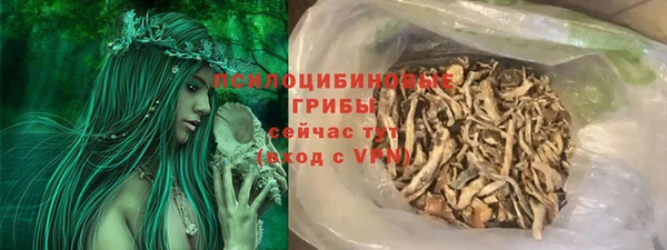соль ск Горно-Алтайск