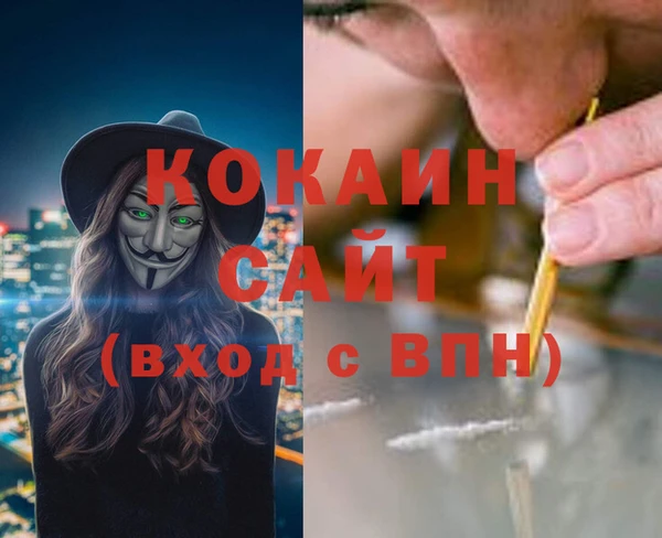 соль ск Горно-Алтайск